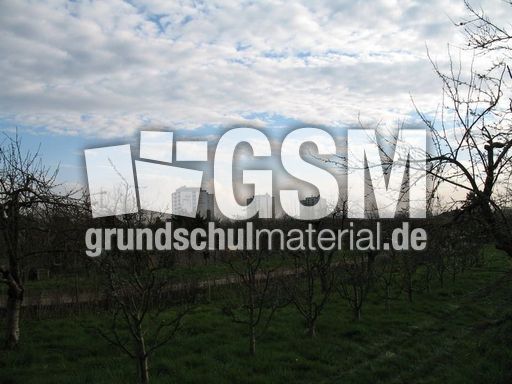 Weil am Rhein 003.jpg